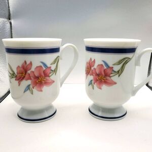 SET OF (2) Vintage Princess House Exclusive Fine Porcelain Mugs #710-Made Japan